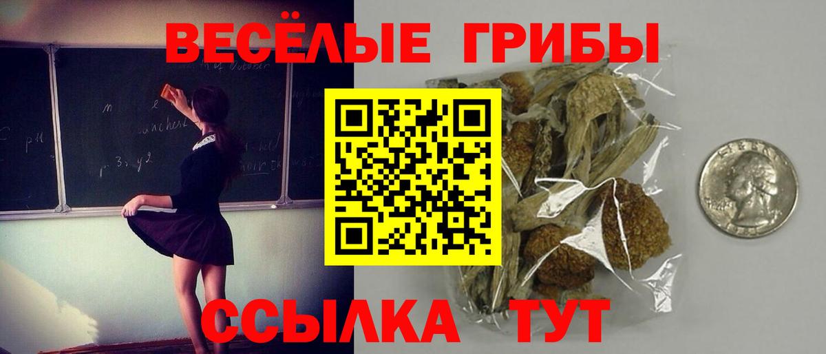 Галлюциногенные грибы GOLDEN TEACHER Реутов